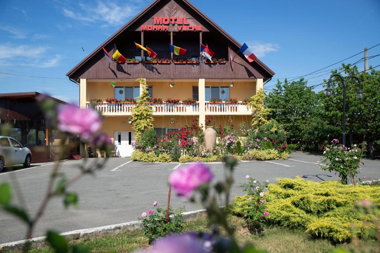 Motel Moara Veche Sacalaseni Екстер'єр фото