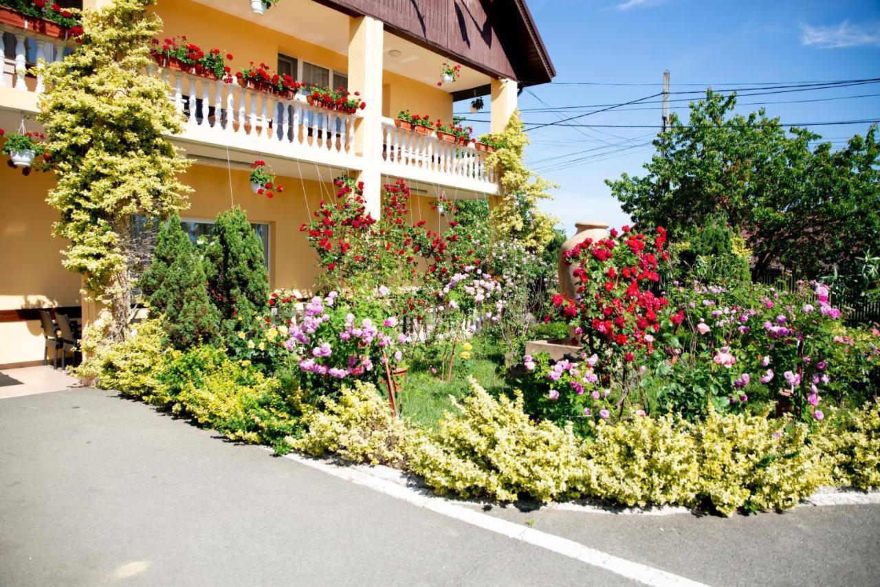 Motel Moara Veche Sacalaseni Екстер'єр фото
